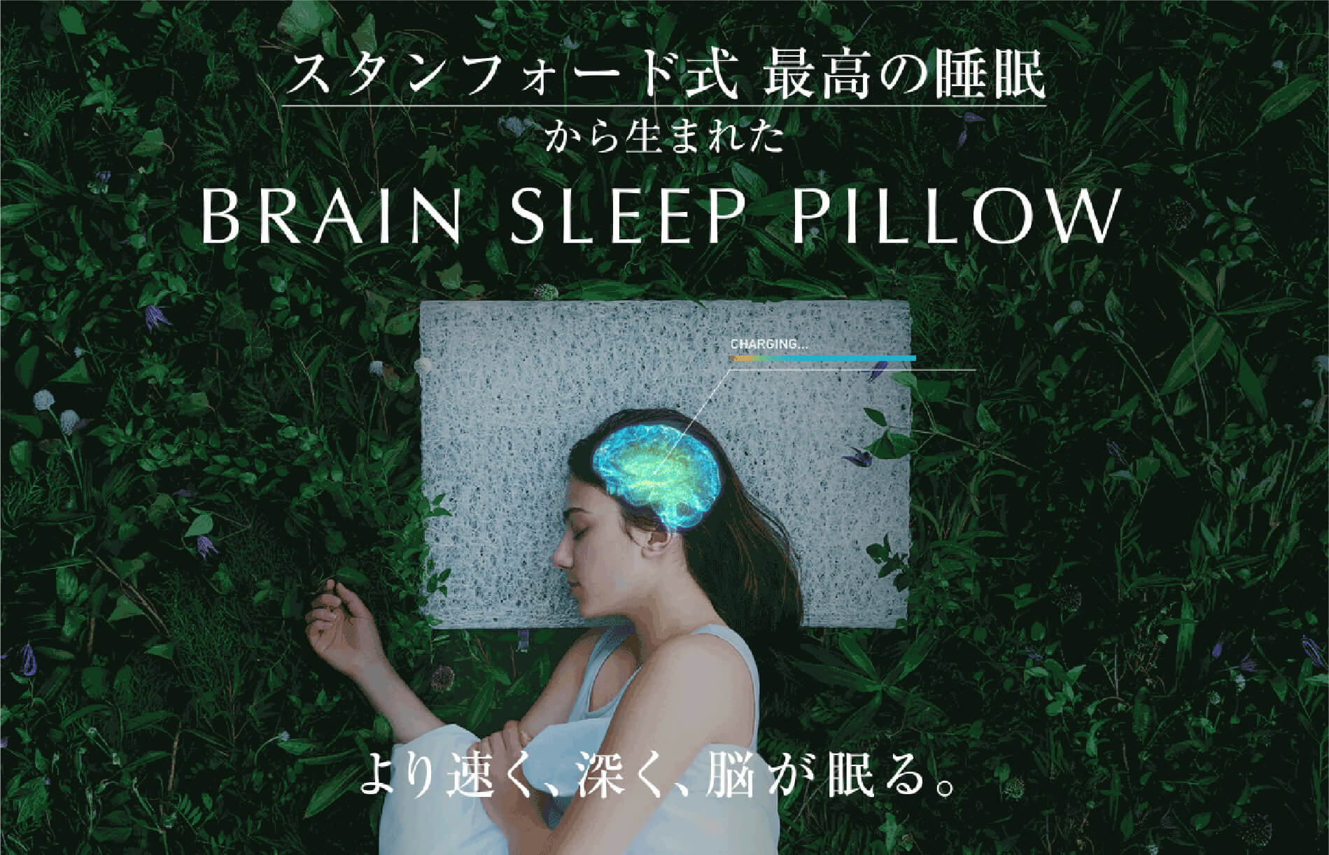 スタンフォード式 最高の睡眠から生まれた BRAIN SLEEP PILLOW